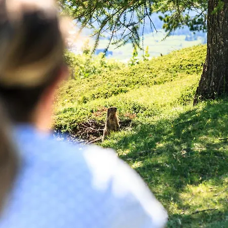 Al Foiron Hotel Claviere