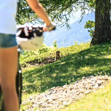 ホテル Al Foiron 3*